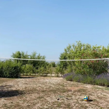 Nyaraló White Gold *